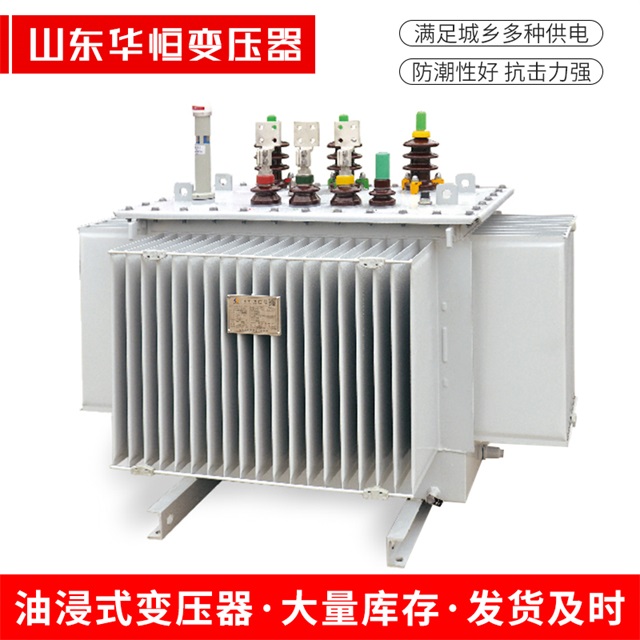 S13-10000/35黄龙黄龙黄龙电力变压器